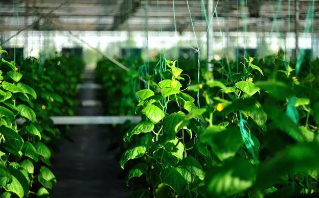 1716945800616687.jpg 微信圖片_20240529092310.jpg